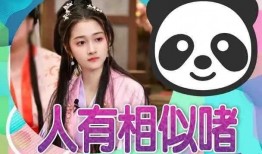 娱乐圈吃瓜爆料小说推荐发疯,吃瓜爆料，揭秘明星背后的疯狂故事