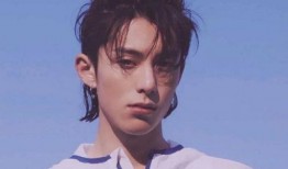 狗崽爆料王鹤棣视频播放,王鹤棣视频播放背后的故事揭秘