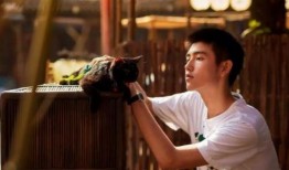 陈飞宇爆料后续事件视频,揭秘事件背后真相与影响